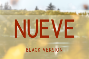 Elevating Web Layouts with the Nueve Black Typeface