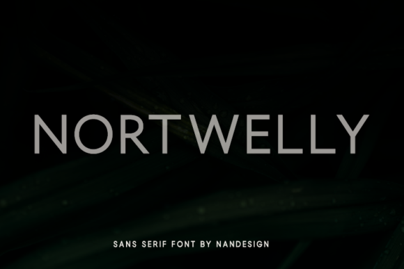 Nortwelly: A Modern Sans Serif Review