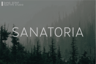 Sanatoria Font Review: A Versatile Sans Serif for Campaigns
