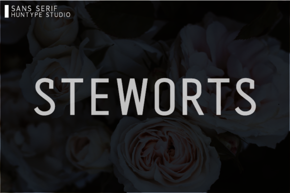 Steworts: A Bold Sans Serif for Real-World Design