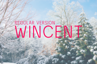 Wincent: A Modern Sans Serif Typeface