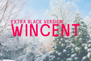 Wincent Extra Black: A Bold Typographic Choice