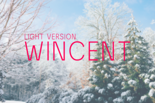 Wincent Light: A Modern Sans Serif Font for Campaigns