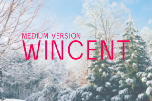 Wincent Medium: A Gentle Sans Serif for Editorial Design